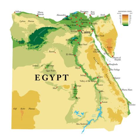 Map Of Egypt Vector Stock Images Image 18511884