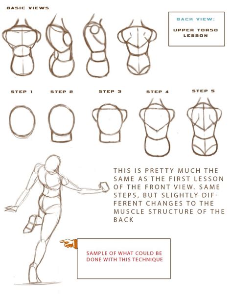 Anatomy Study Guide P2 By Midnightsquad On Deviantart Anatomy Study