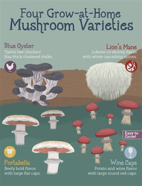 How To Grow Delicious Mushrooms At Home Lazytries