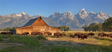 Top Sites To Visit In Grand Teton National Park Brushbuck Wildlife Tours