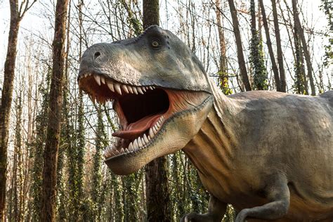 You have to learn to make your own decisions.. New Research Shows T. Rex Couldn't Run - Research & Development World