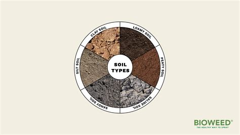 Common Soil Types In Australia And How To Manage Them Bioweed
