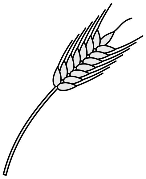 Wheat Line Drawing Free Download On Clipartmag