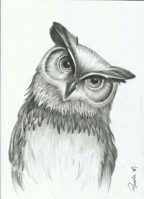 Pin By Алексей Шмырин On Tattoo Pencil Drawings Of Animals Owls