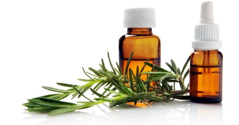 Aceites esenciales ¿qué son y cómo se usan?