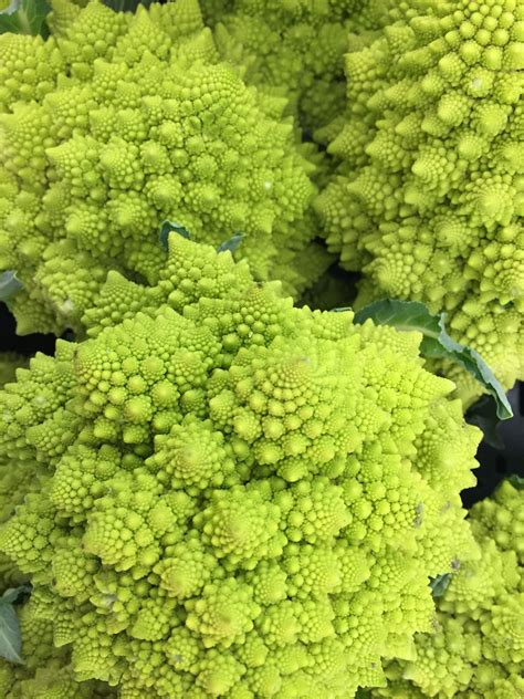 Cavolo Romanesco Romanesco Broccoli Cauliflower Vegetables Green