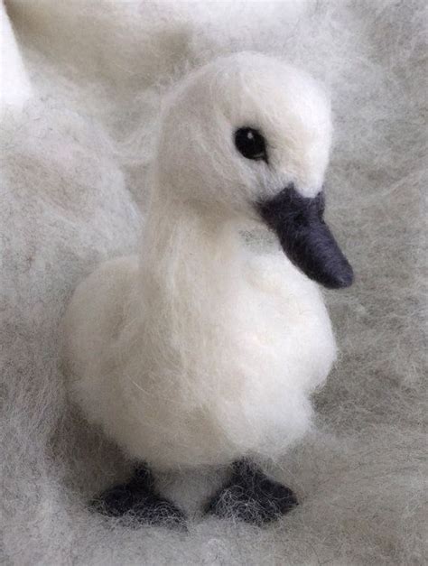 Needle Felted Baby Swan Cygnet By Claudiamariefelt On Etsy