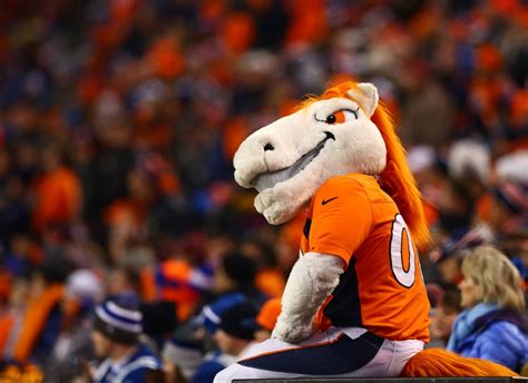 The denver broncos are called the broncos because the origanal afl team held a contest in 1960 the animal mascots are as follows:the arizona cardinals have a cardinal as a mascot: Broncos Fanzone: Green Blaze Saves Denver