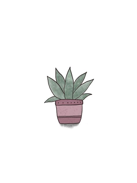 Minimalist Cactus Wallpaper Diy Crafts Wallpaper Iphone Tumblr