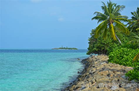 Rasdhoo Maldivas Todo Lo Que Necesitas Saber Para Visitar La Isla