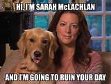 Aspca Sarah Mclachlan Commercial In The Arms Of An Angel Pictures