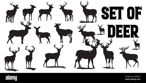 A Collection Of Silhouettes Of Deer Vector Illustration Stock Vector