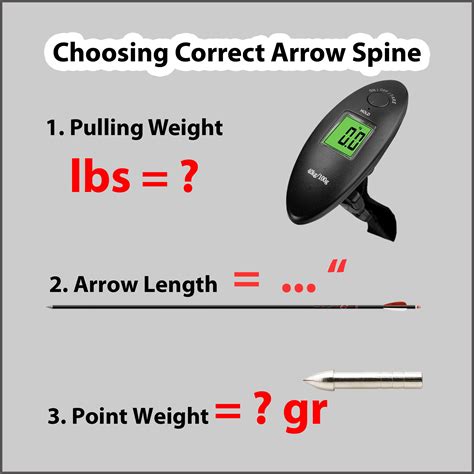 Choosing Correct Arrow Spine Archery Poses Archery Tips Archery Bow