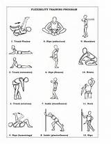 Training Exercises To Improve Flexibility Photos