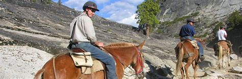 Yosemite Mule Rides Yosemite Horseback Riding Horseback Riding