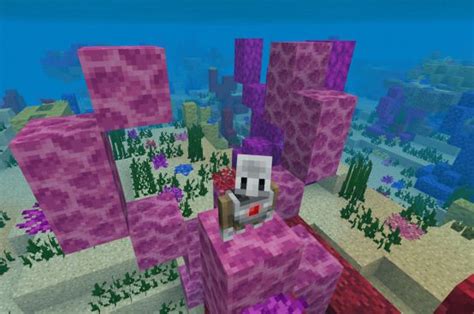 How to add coral in minecraft. Function Reefs | Minecraft: Education Edition