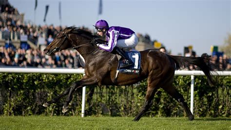 St Leger Stakes Camelot Goes For The English Triple Crown And Down The Stretch They Come