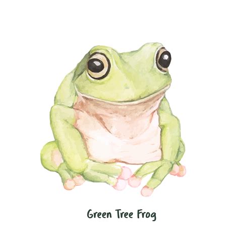 Hand Drawn Green Tree Frog Download Free Vectors Clipart Graphics