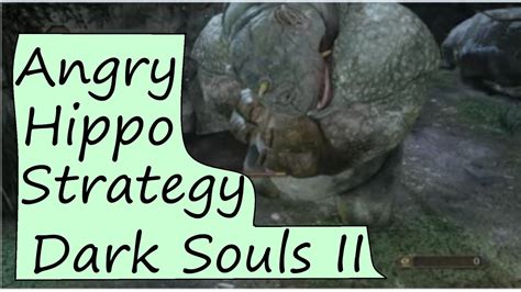 Pick the sorcerer with the master key as your gift. Dark Souls 2: Ogre Hippo Melee Strategy Guide - YouTube