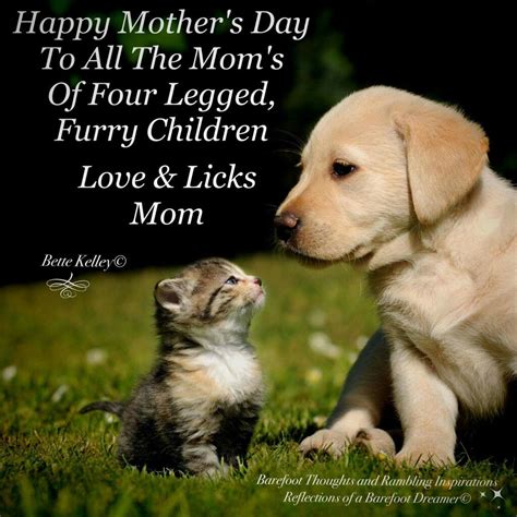 Happy Mothers Day Animal Advocacy Dogs Fur Friend