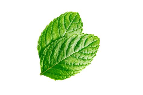 Mint Leaves Mint Leaves Isolated On Transparent Background 22804960 Png