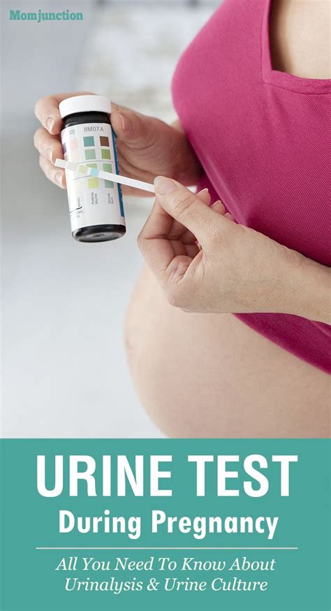 A Pregnant Woman Holding A Bottle Of Urine Test For Her Pregnant Belly