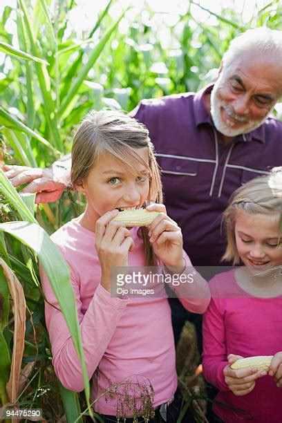 Old Man Eating Cereal Photos And Premium High Res Pictures Getty Images