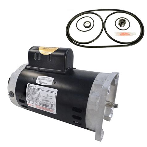 Puri Tech Replacement Motor Kit For Pentair Challenger 2hp Cfi Ni 2fe