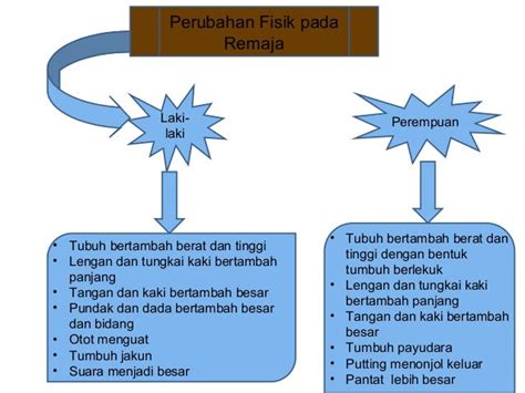 Ide Populer 18 Perubahan Fisik Remaja