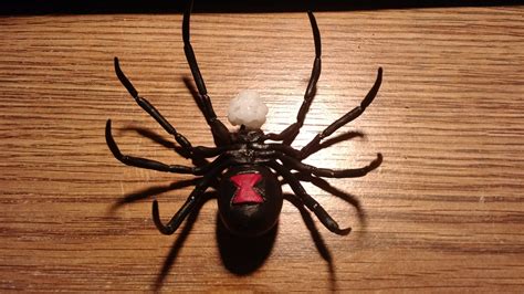 Black widow spiders (latrodectus spp.) are some of the most recognizable and feared. Black Widow Spider - InstaMorph