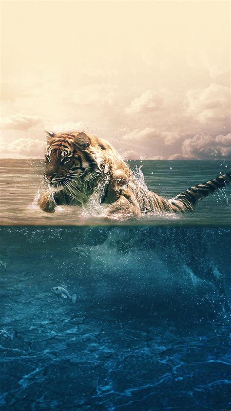 Tiger Running Blue Sea Nature Android Wallpaper Android