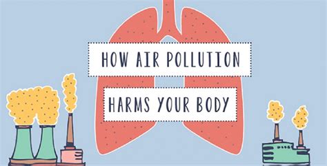 How Air Pollution Affects Your Health Prana Air