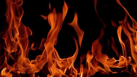 Flames Of Fire On Black Background In Slow Stock Footage Sbv 326199632