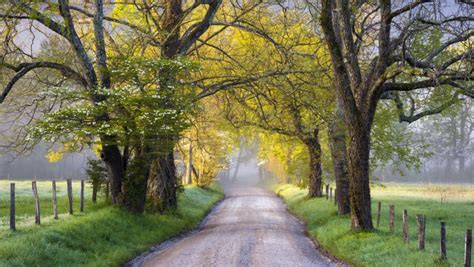 3 Things To Know Before You Go Cades Cove Biking