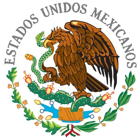 Tramoyam Blog ANFIBIOS MEXICANOS en peligro de extinción