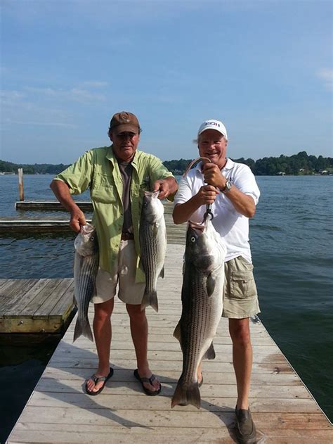 Join captain kenny short for a striper fishing trip on beautiful smith mountain lake in virginia, fishing from a roomy and comfortable 2310 polar bay boat. Striper Fishing Guide Service on Smith Mountain Lake, VA ...