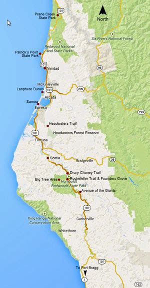 California Coast Redwoods 2014