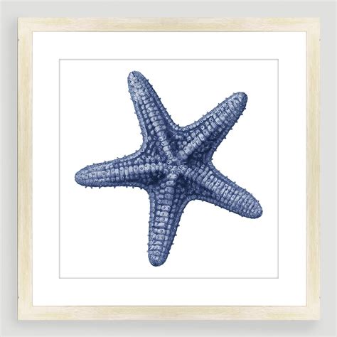 Vintage Style Starfish Sea Life Wall Art World Market