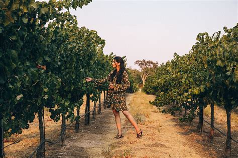 Pretty Latina Woman In A Vineyard By Jayme Burrows