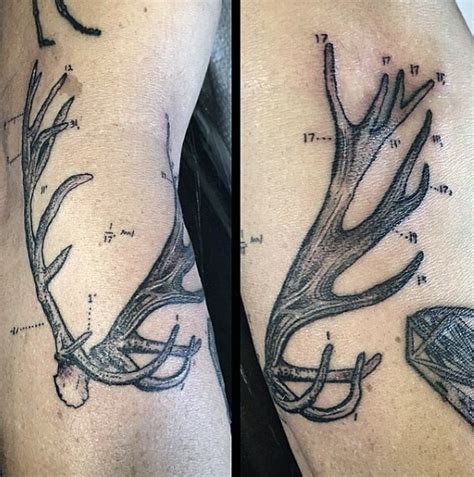 70 Antler Tattoo Designs For Men Cool Branched Horn Ink Ideas