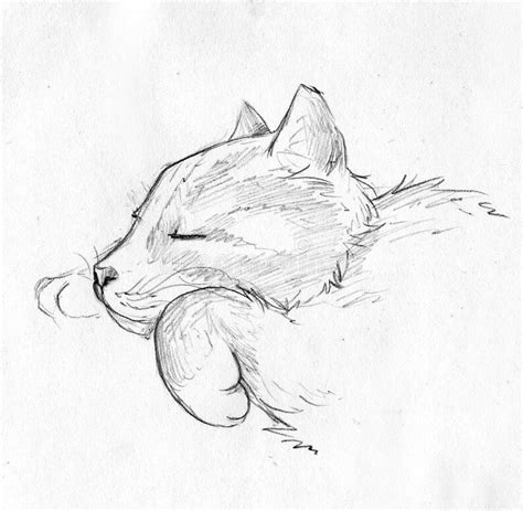 Sleeping Cat Pencil Sketch Stock Illustration