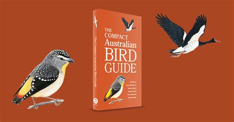 The Compact Australian Bird Guide Jeff Davies Peter Menkhorst Danny