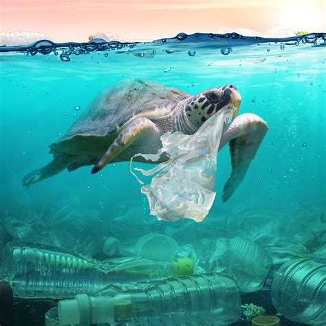 Shocking Facts About Plastic Pollution The Time To Act Is Now Artofit