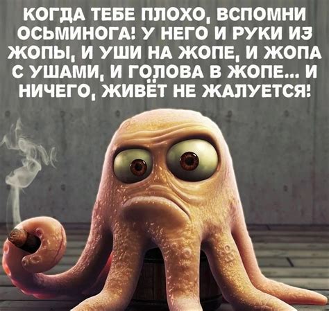 ГыГы Приколы смешные мемы видео и фото выпуск №1726623