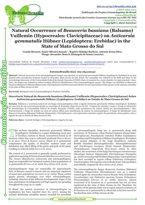 PDF Natural Occurrence Of Beauveria Bassiana Balsamo Vuillemin Hyphomycetes Moniliales On