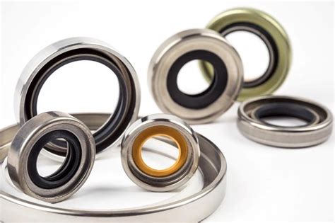 Choosing Lip Seals Is Important Professional Rubber Compounding