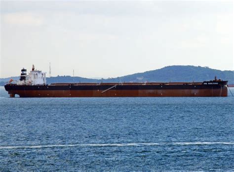Ore Hongkong Bulk Carrier Details And Current Position Imo 9815238