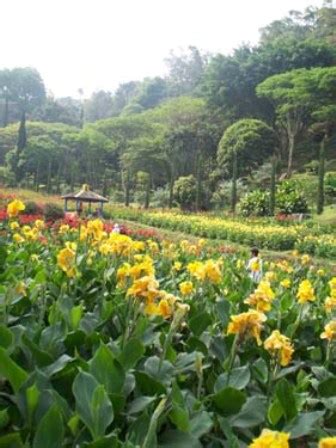 Nah, berikut telah brilio.net rangkum 5 taman bunga yang ada di jogja dari taman bunga ini terletak di desa bejiharjo, kecamatan karangmojo, gunung kidul. Look and Read: WISATA ALAM DI BANDUNG