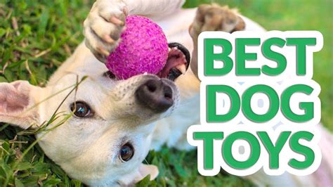 Best Dog Toy 2019 7 Top Dog Toys Youtube