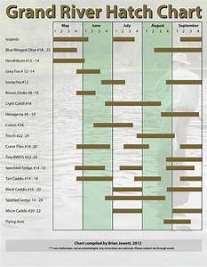 The Elliot Lake Flyfishing Blog Grand River Hatch Chart